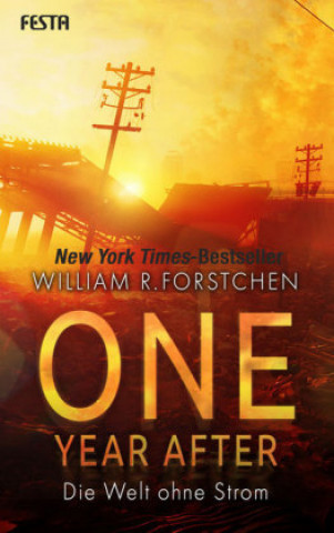 Kniha One Year After - Die Welt ohne Strom William R. Forstchen