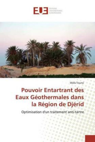 Book Pouvoir Entartrant des Eaux Geothermales dans la Region de Djerid Wafa Tounsi