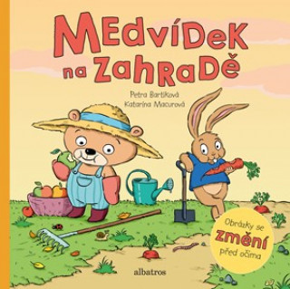 Book Medvídek na zahradě Petra Bartíková