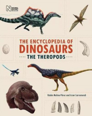 Kniha Encyclopedia of Dinosaurs Ruben Molina-Perez