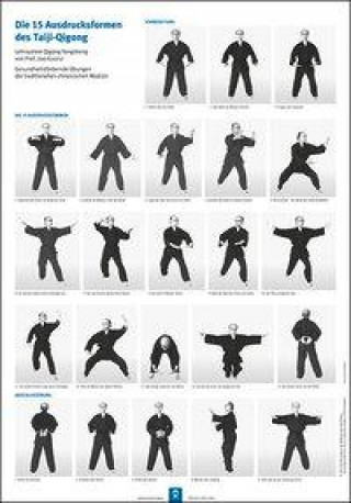 Materiale tipărite Die 15 Ausdrucksformen des Taiji Qigong Poster Gisela Hildenbrand