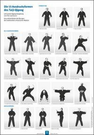 Tiskovina Die 15 Ausdrucksformen des Taiji Qigong Poster Gisela Hildenbrand