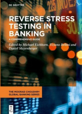 Kniha Reverse Stress Testing in Banking Michael Eichhorn