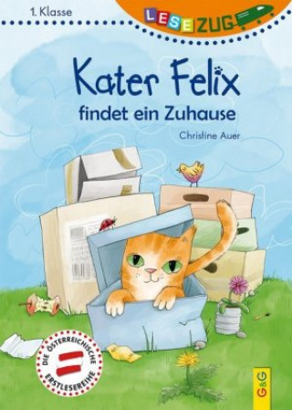 Book LESEZUG/1. Klasse: Kater Felix findet ein Zuhause Christine Auer