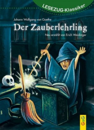 Kniha LESEZUG/Klassiker: Der Zauberlehrling Erich Weidinger