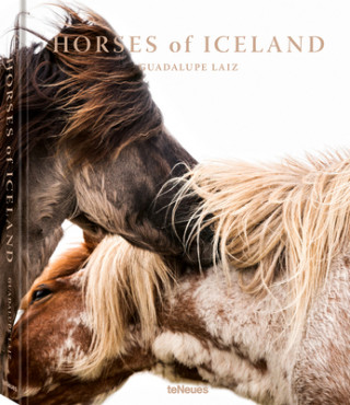 Könyv Horses of Iceland Guadalupe Laiz