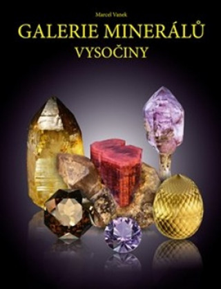 Kniha Galerie minerálů Vysočiny Marcel Vanek