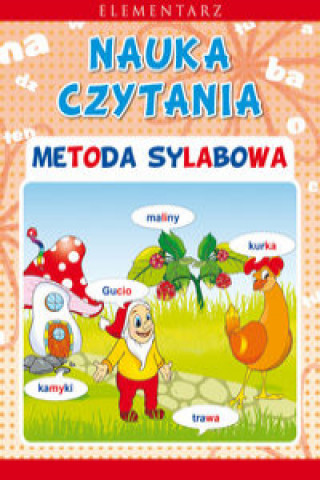 Könyv Elementarz Nauka czytania Metoda sylabowa Guzowska Beata