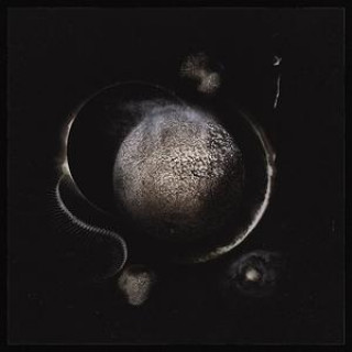 Audio Cold Black Suns Enthroned