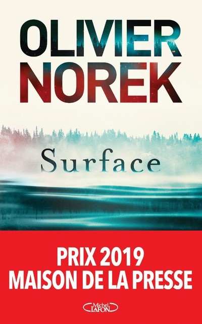 Kniha Surface Olivier Norek