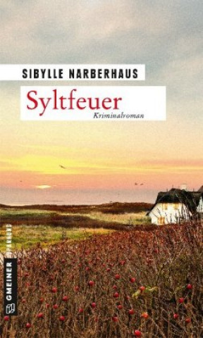 Kniha Syltfeuer Sibylle Narberhaus