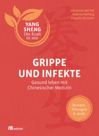 Kniha Grippe und Infekte (Yang Sheng 4) Johannes Bernot