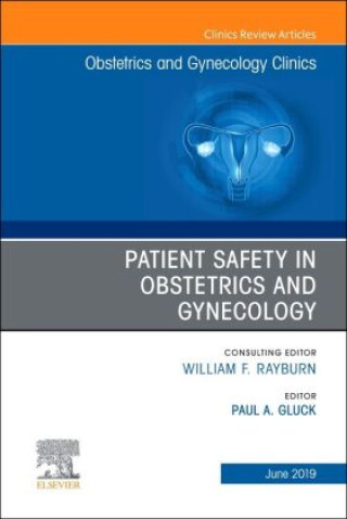 Kniha Patient Safety in Obstetrics and Gynecology, An Issue of Obstetrics and Gynecology Clinics Gluck