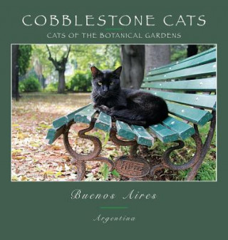 Knjiga Cobblestone Cats - Buenos Aires ALAN PANATTONI
