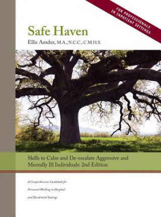 Βιβλίο Safe Haven ELLIS AMDUR