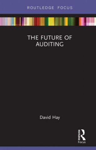 Kniha Future of Auditing Hay