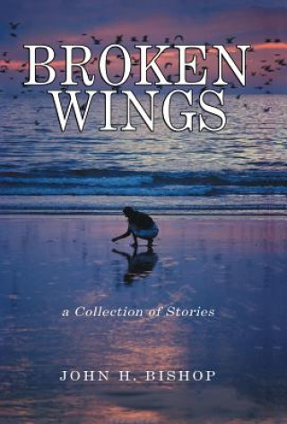 Knjiga Broken Wings John H Bishop