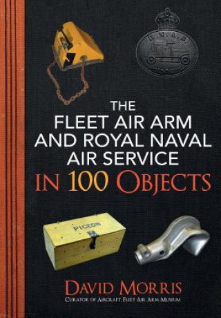 Kniha Fleet Air Arm and Royal Naval Air Service in 100 Objects David Morris