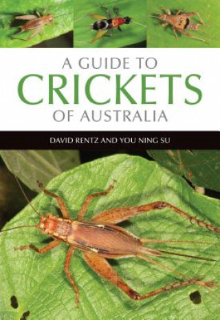 Kniha Guide to Crickets of Australia David Rentz
