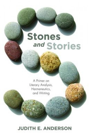 Kniha Stones and Stories JUDITH E. ANDERSON