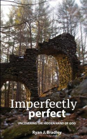 Knjiga Imperfectly perfect Ryan J Bradley
