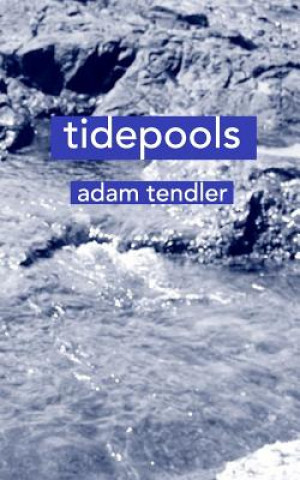 Buch tidepools ADAM TENDLER