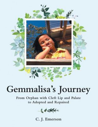 Kniha Gemmalisa's Journey C. J. EMERSON