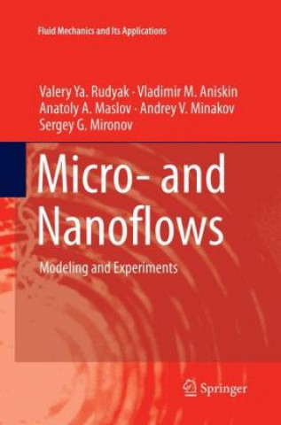 Knjiga Micro- and Nanoflows Valery Ya. Rudyak