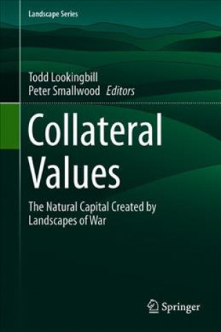 Knjiga Collateral Values Todd R. Lookingbill