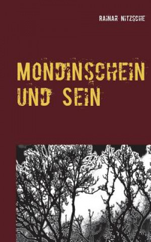 Buch Mondinschein und Sein Rainar Nitzsche
