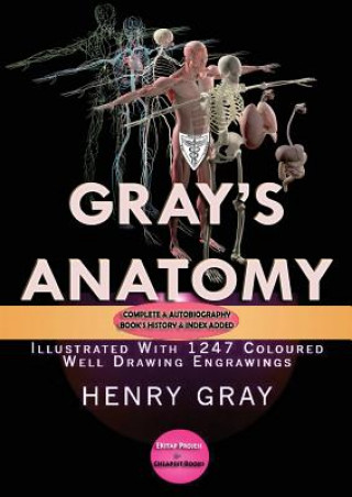 Könyv Gray's Anatomy HENRY GRAY