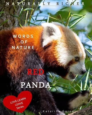 Könyv Red Panda KATARINA GARNETT