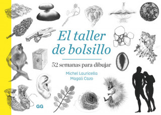 Kniha TALLER DE BOLSILLO MICHEL LAURICELLA