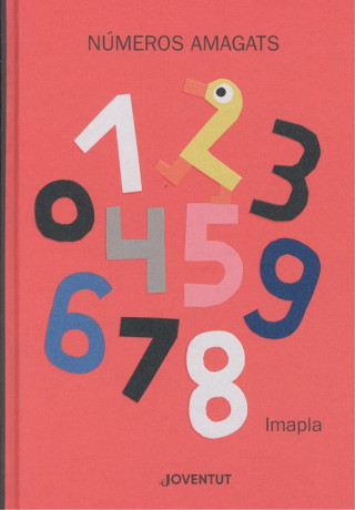 Buch NUMEROS AMAGATS IMPALLA