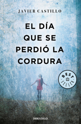 Book El dia que se perdio la cordura / The Day Sanity was Lost Javier Castillo