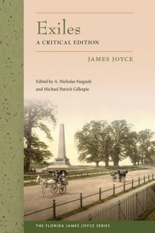 Buch Exiles James Joyce