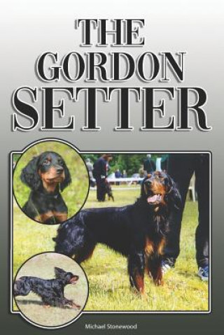 Könyv The Gordon Setter: A Complete and Comprehensive Owners Guide to: Buying, Owning, Health, Grooming, Training, Obedience, Understanding and Michael Stonewood