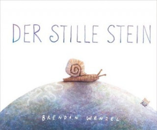 Kniha Der stille Stein Brendan Wenzel