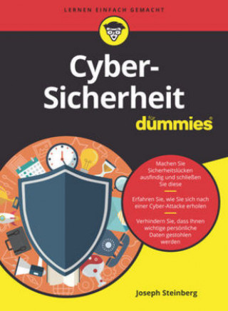 Kniha Cyber-Sicherheit fur Dummies Joseph Steinberg