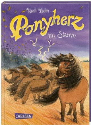 Kniha Ponyherz 14: Ponyherz im Sturm Usch Luhn