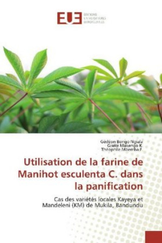 Kniha Utilisation de la farine de Manihot esculenta C. dans la panification Gedéon Bongo Ngiala