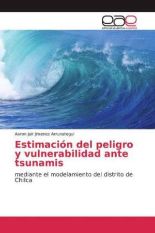 Kniha Estimación del peligro y vulnerabilidad ante tsunamis Aaron Jair Jimenez Arrunategui