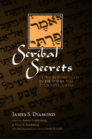 Boek Scribal Secrets James S. Diamond