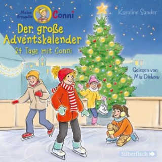 Audio Der große Adventskalender Karoline Sander