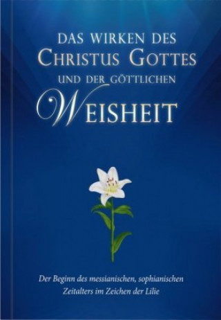 Kniha Schulte, A: Wirken des Christus Gottes Alfred Schulte