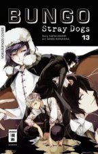 Könyv Bungo Stray Dogs 13 Kafka Asagiri