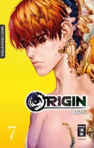 Книга Origin 07 Boichi