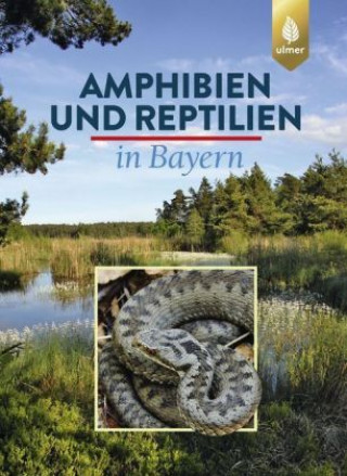 Kniha Amphibien und Reptilien in Bayern Eberhard Andrä