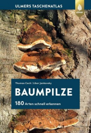 Книга Baumpilze Thomas L. Cech