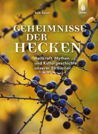 Kniha Geheimnisse der Hecken Rudi Beiser